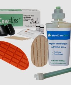 Glues & Shoes
