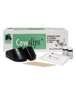 Cowslips - Box of 10 XL's