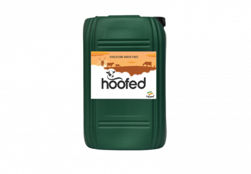 Hoofed Footbath