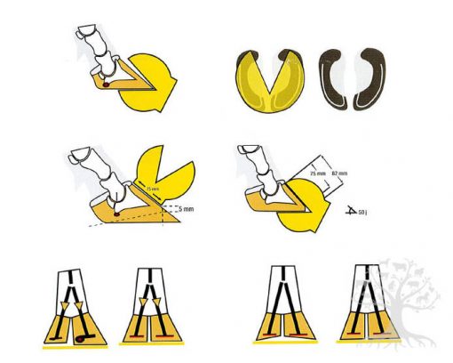Demotec Claw Checker
