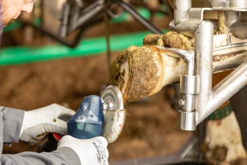 Kerbl Farmers Hoof Trimming Disc 3 Cutter