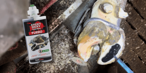 Hoof Glue Adhesive