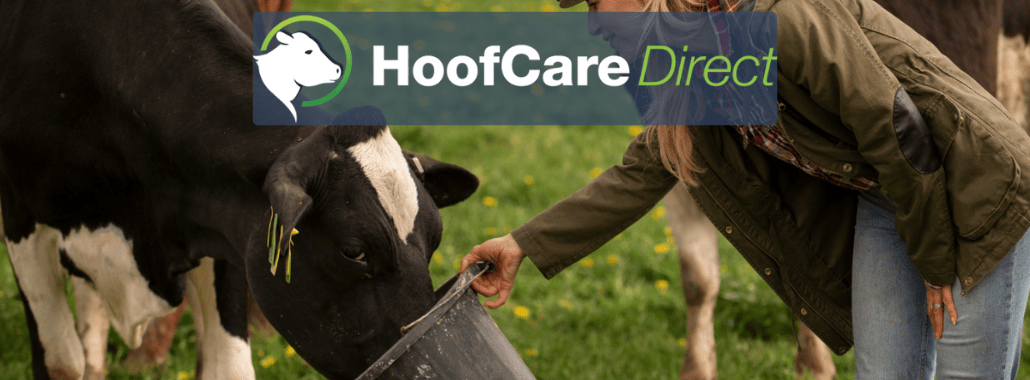 Farmer Feeding Cows.