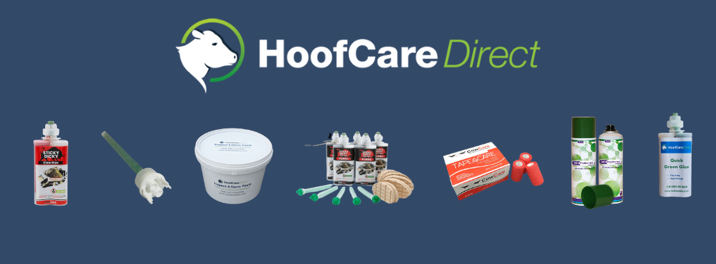 HoofCare Direct Top Products of 2025