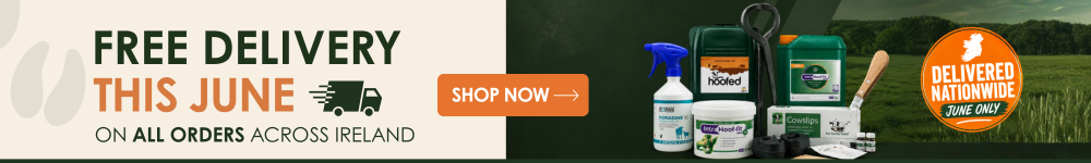 Free Delivery Banner