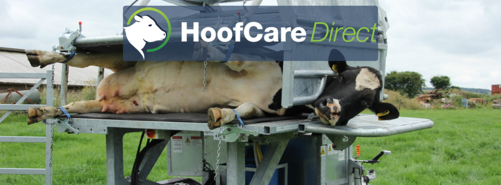 Inspect 4 Hoof Trimming Crate